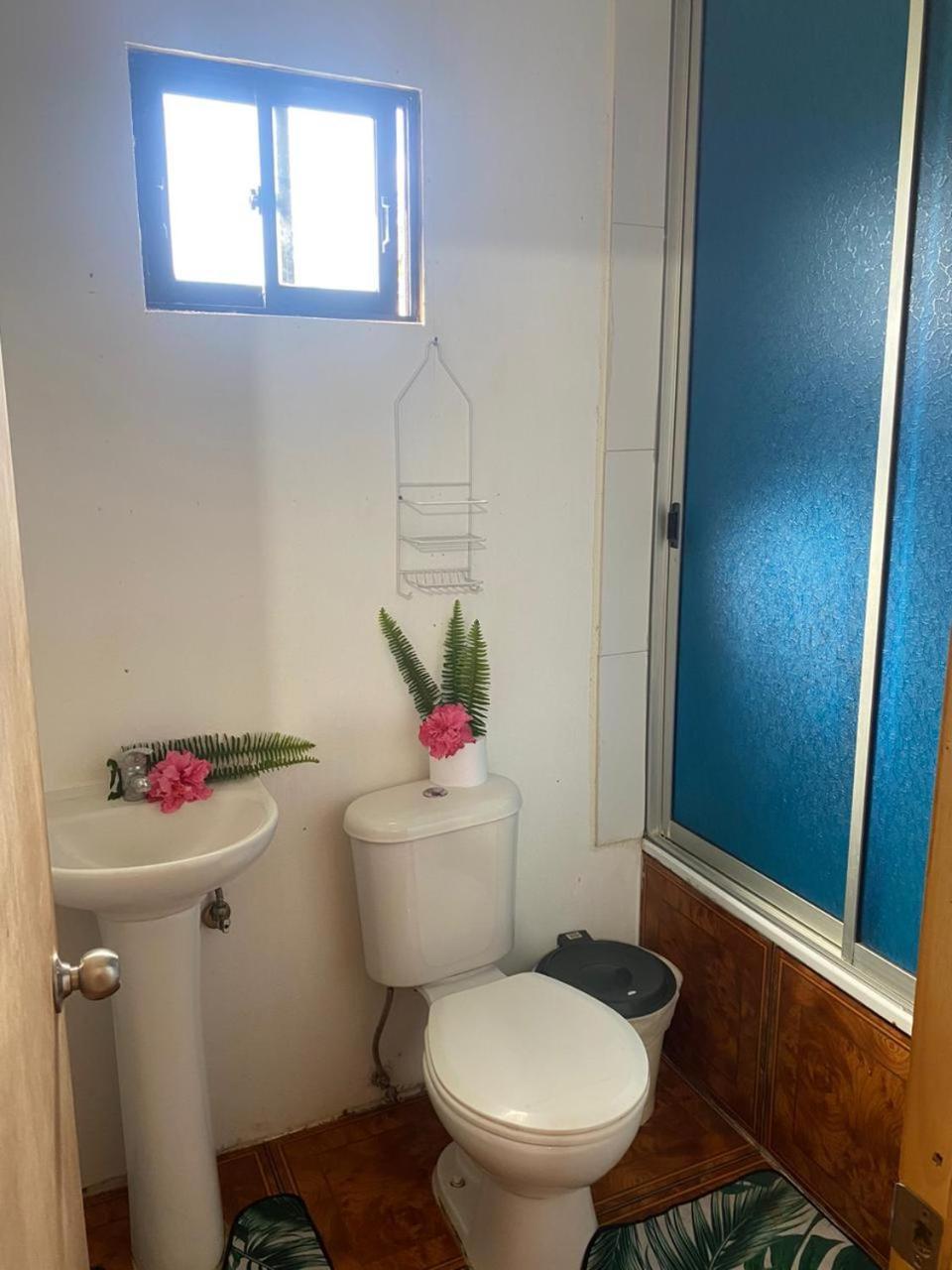 Pua vaenga Hostel Hanga Roa Bagian luar foto