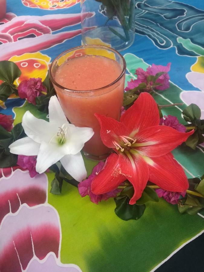 Pua vaenga Hostel Hanga Roa Bagian luar foto